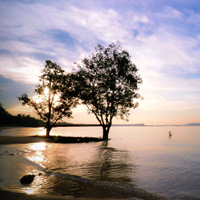 怎么去攻击一个网站与防护